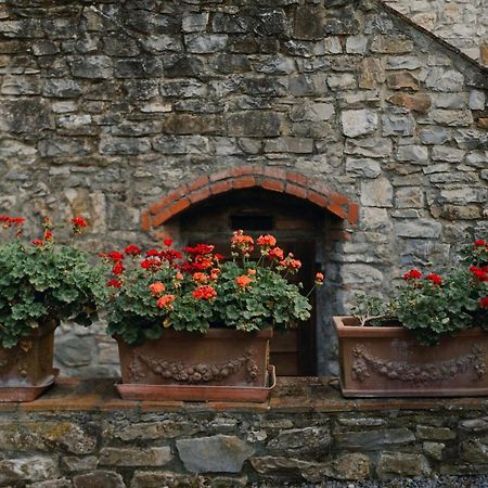 Il Cascino ξενώνας Greve in Chianti Εξωτερικό φωτογραφία