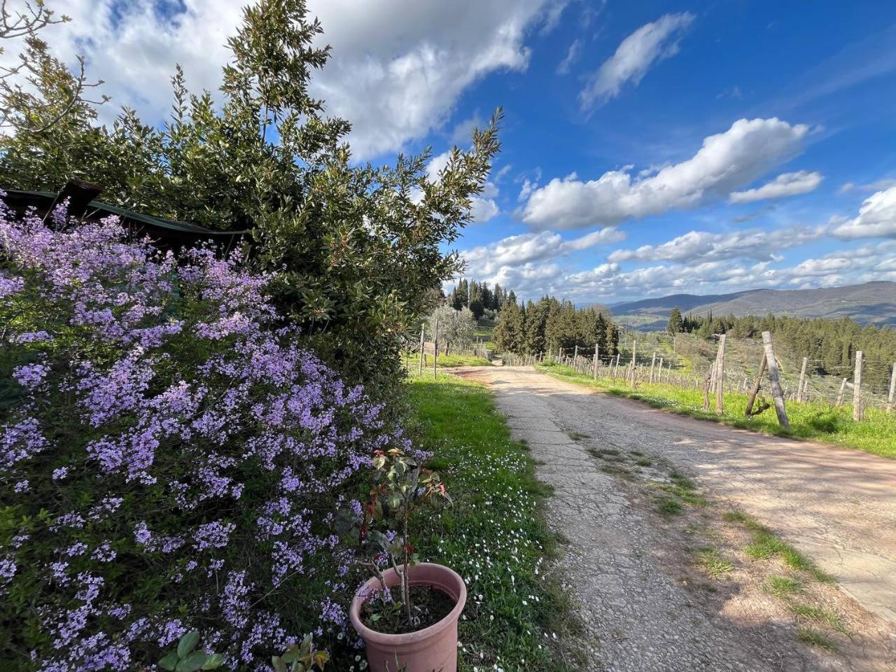 Il Cascino ξενώνας Greve in Chianti Εξωτερικό φωτογραφία