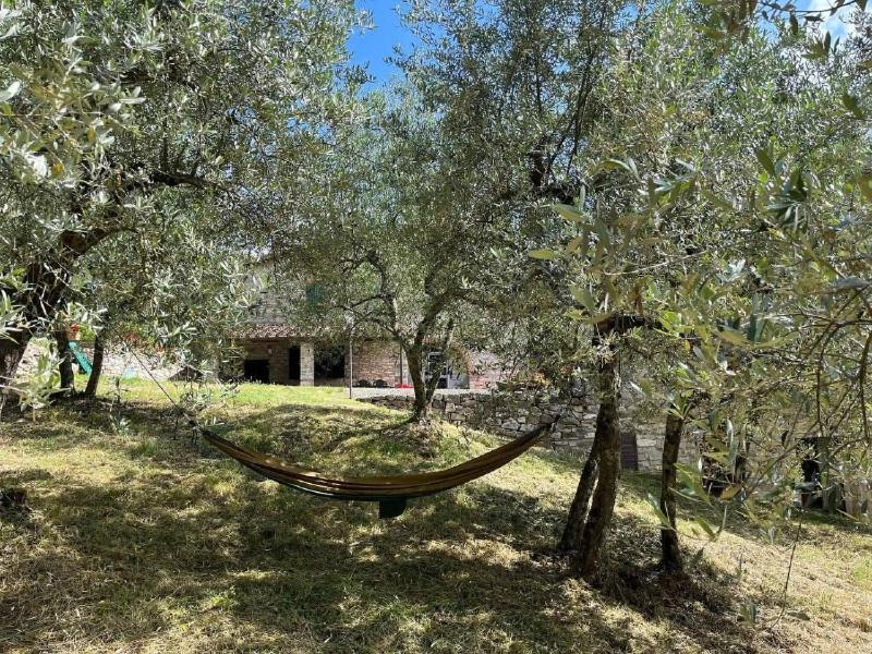 Il Cascino ξενώνας Greve in Chianti Εξωτερικό φωτογραφία
