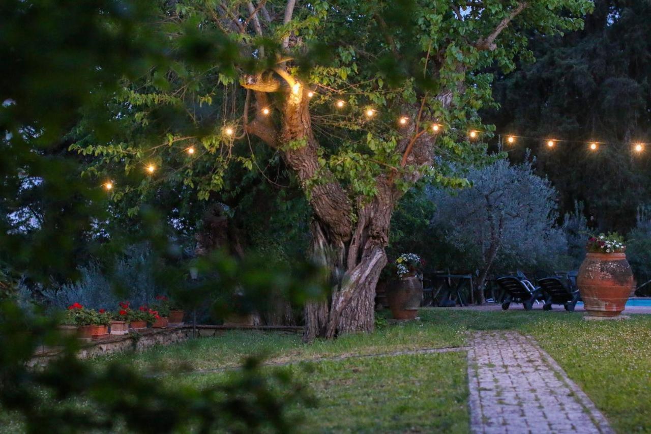 Il Cascino ξενώνας Greve in Chianti Εξωτερικό φωτογραφία